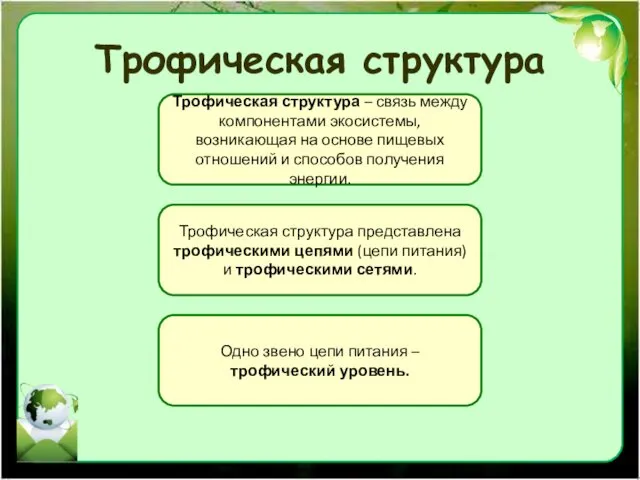 Трофическая структура Трофическая структура – связь между компонентами экосистемы, возникающая