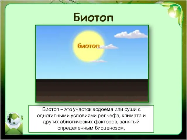 Биотоп Биотоп – это участок водоема или суши с однотипными