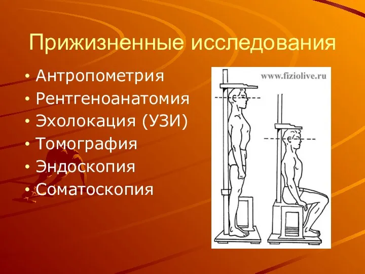 Прижизненные исследования Антропометрия Рентгеноанатомия Эхолокация (УЗИ) Томография Эндоскопия Соматоскопия