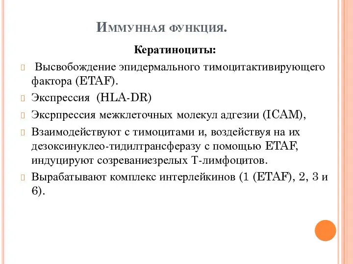Иммунная функция. Кератиноциты: Высвобождение эпидермального тимоцитактивирующего фактора (ETAF). Экспрессия (HLA-DR)