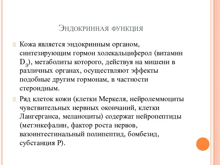 Эндокринная функция Кожа является эндокринным органом, синтезирующим гормон холекальциферол (витамин