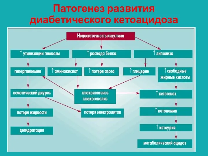 Патогенез развития диабетического кетоацидоза