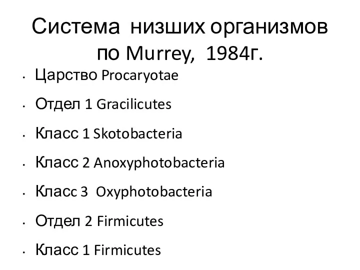 Система низших организмов по Murrey, 1984г. Царство Procaryotae Отдел 1