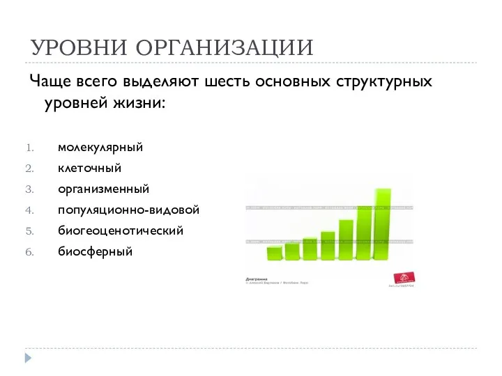 УРОВНИ ОРГАНИЗАЦИИ Чаще всего выделяют шесть основных структурных уровней жизни: молекулярный клеточный организменный популяционно-видовой биогеоценотический биосферный