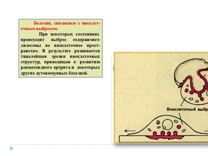 Болезни, связанные с внеклет-очным выбросом. При некоторых состояниях происходит выброс
