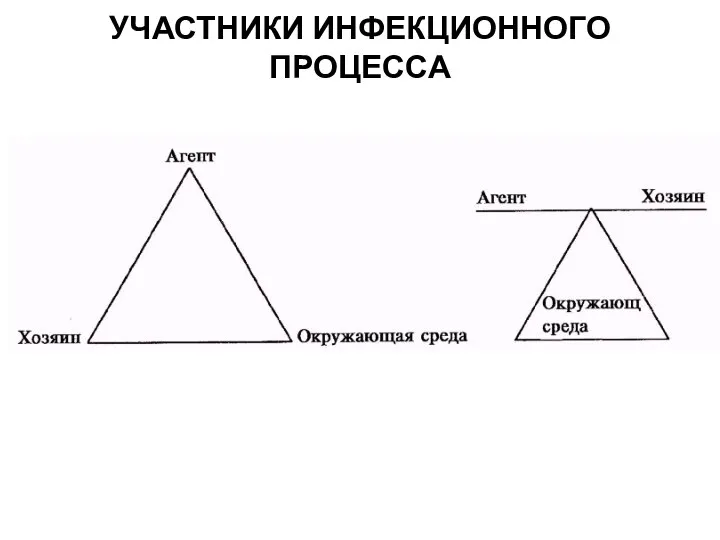 УЧАСТНИКИ ИНФЕКЦИОННОГО ПРОЦЕССА