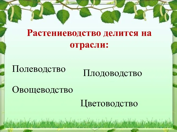 Растениеводство делится на отрасли: Полеводство Овощеводство Плодоводство Цветоводство