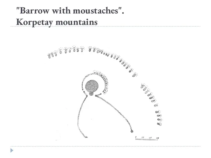 "Barrow with moustaches". Korpetay mountains