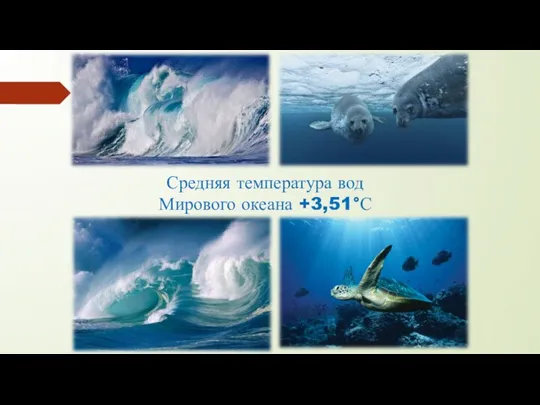 Средняя температура вод Мирового океана +3,51°С