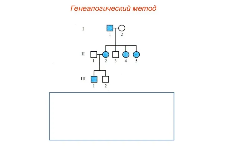 Генеалогический метод