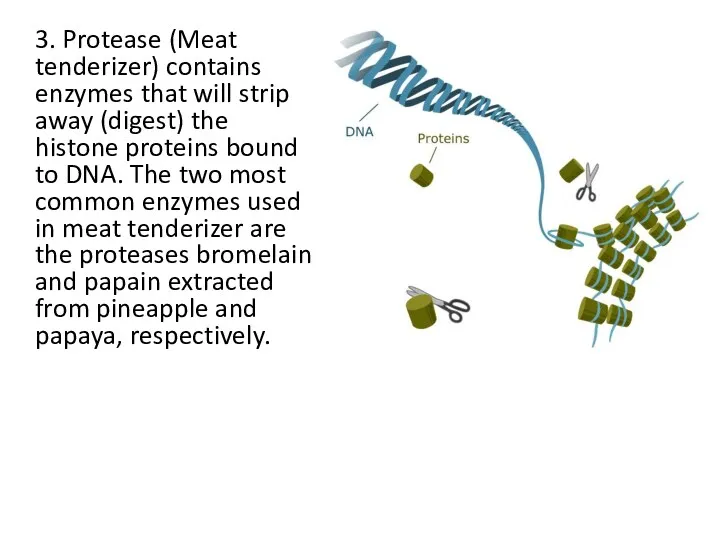 3. Protease (Meat tenderizer) contains enzymes that will strip away