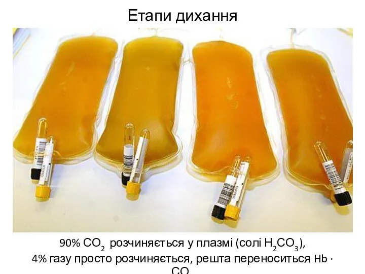 Етапи дихання 90% СО2 розчиняється у плазмі (солі Н2СО3), 4%