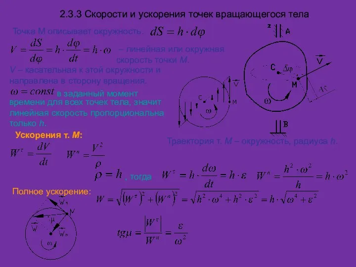 2.3.3 Скорости и ускорения точек вращающегося тела Точка М описывает