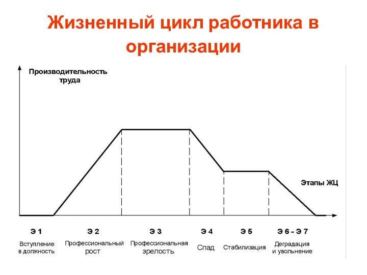 Жизненный цикл работника в организации