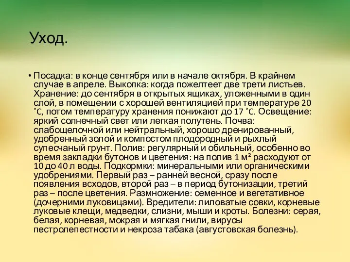 Уход. Посадка: в конце сентября или в начале октября. В крайнем случае в