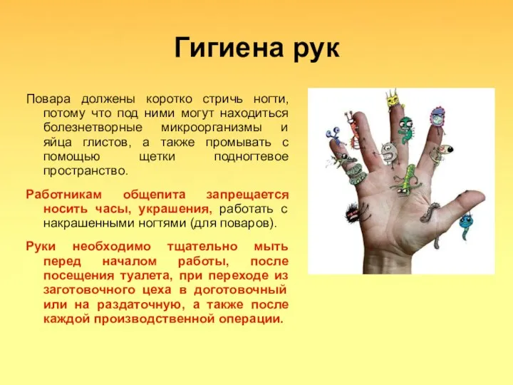 Гигиена рук Повара должены коротко стричь ногти, потому что под ними могут находиться