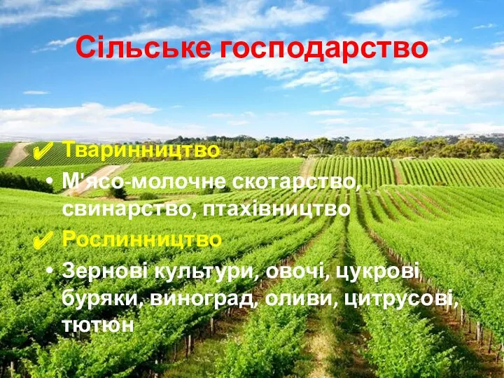 Сільське господарство Тваринництво М'ясо-молочне скотарство, свинарство, птахівництво Рослинництво Зернові культури,