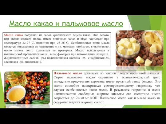 Масло какао и пальмовое масло Масло какао получают из бобов