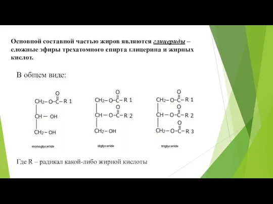 Основной составной частью жиров являются глицериды – сложные эфиры трехатомного