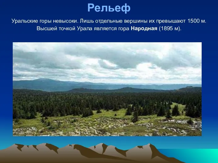 Рельеф Уральские горы невысоки. Лишь отдельные вершины их превышают 1500