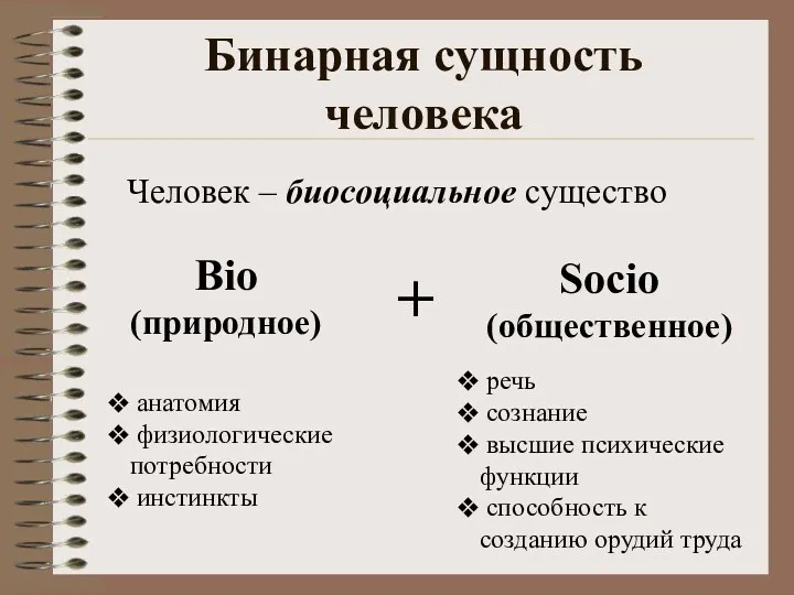 Бинарная сущность человека Bio (природное) Socio (общественное) речь сознание высшие