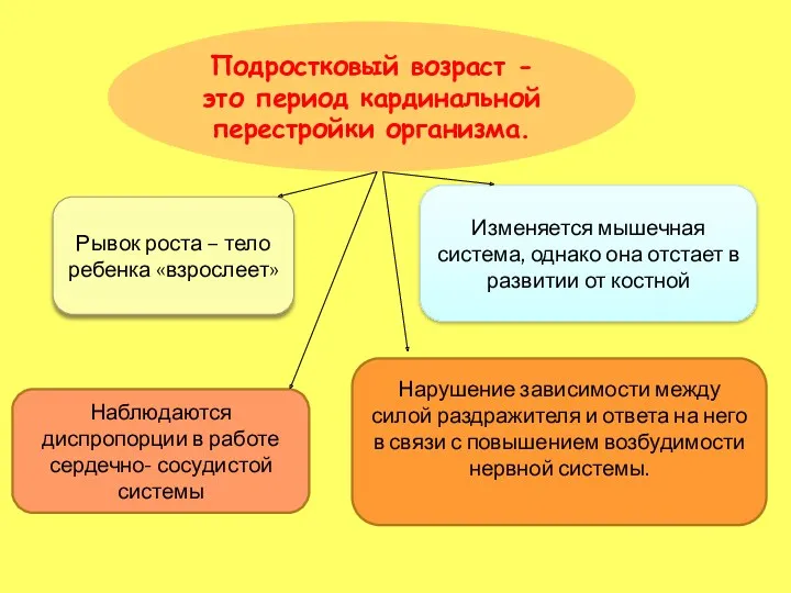 Подростковый возраст - это период кардинальной перестройки организма. Рывок роста