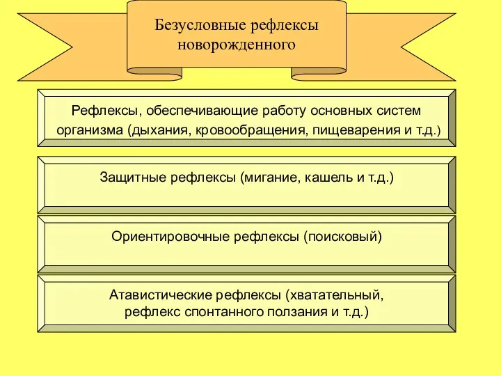 Безусловные рефлексы новорожденного Атавистические рефлексы (хватательный, рефлекс спонтанного ползания и