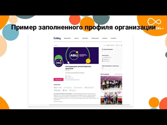 Пример заполненного профиля организации