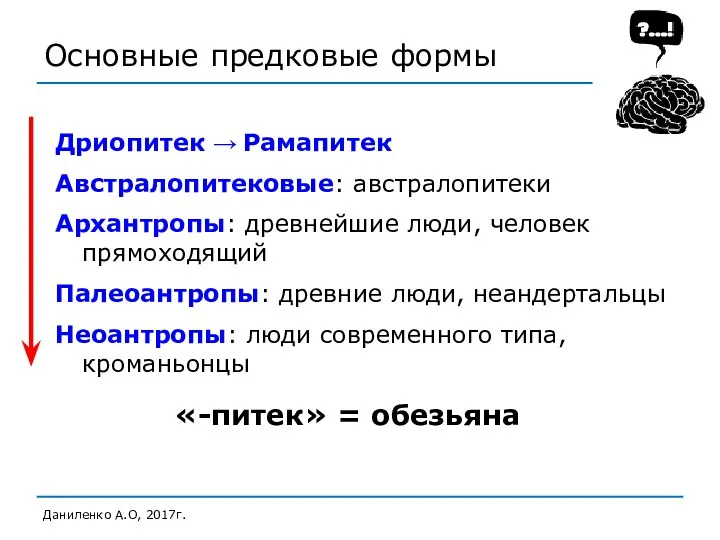 Основные предковые формы Даниленко А.О, 2017г. Дриопитек → Рамапитек Австралопитековые: