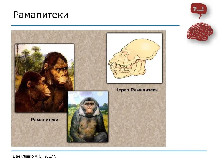 Рамапитеки Даниленко А.О, 2017г.