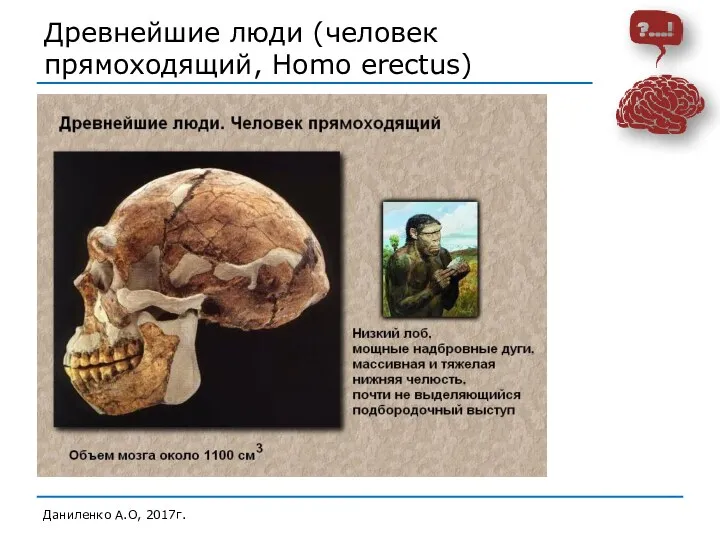 Древнейшие люди (человек прямоходящий, Homo erectus) Даниленко А.О, 2017г.