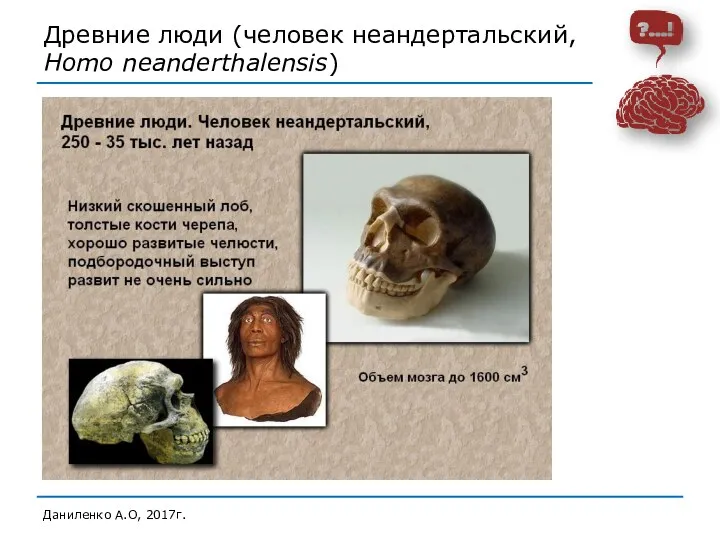 Древние люди (человек неандертальский, Homo neanderthalensis) Даниленко А.О, 2017г.