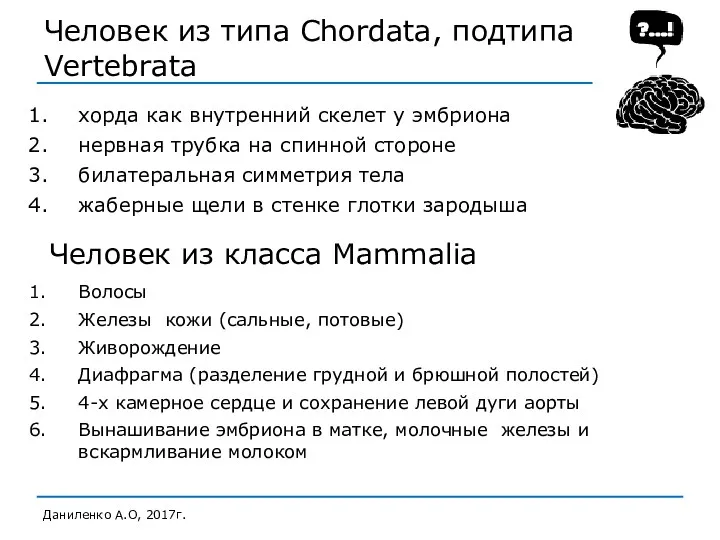 Человек из типа Chordata, подтипа Vertebrata хорда как внутренний скелет