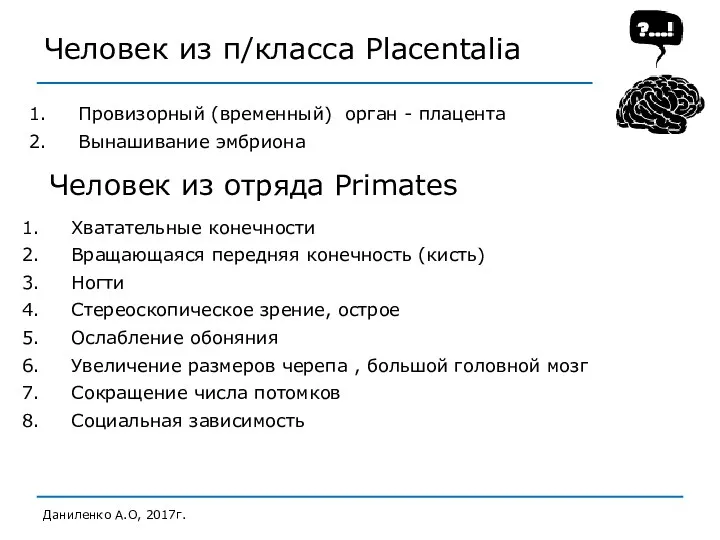 Человек из п/класса Placentalia Провизорный (временный) орган - плацента Вынашивание