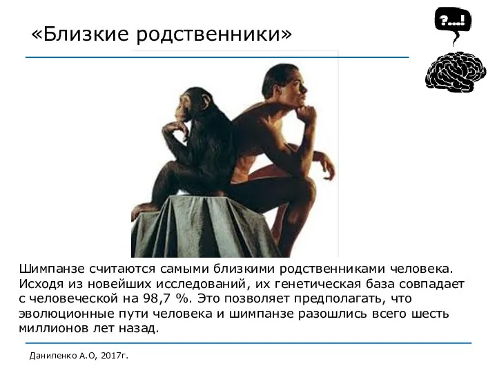 «Близкие родственники» Даниленко А.О, 2017г. Шимпанзе считаются самыми близкими родственниками