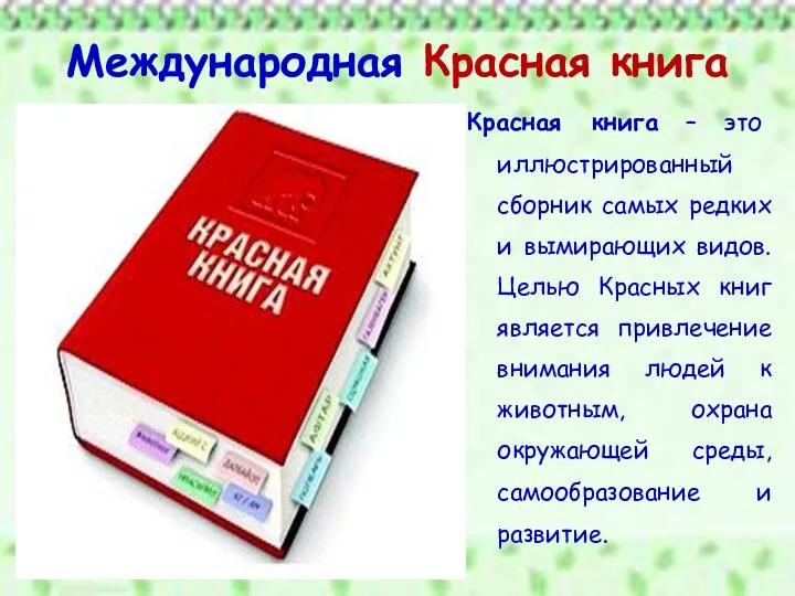 Международная Красная книга Красная книга – это иллюстрированный сборник самых