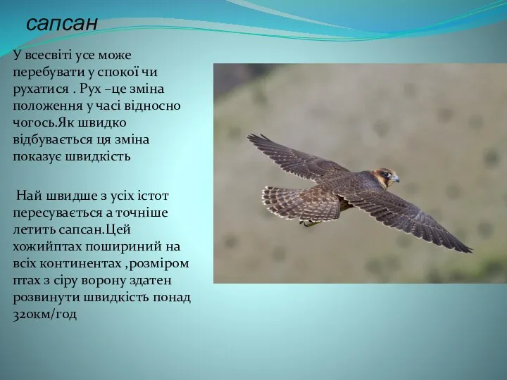 сапсан У всесвіті усе може перебувати у спокої чи рухатися