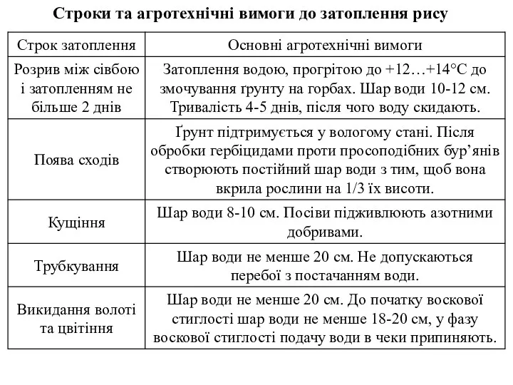 Строки та агротехнічні вимоги до затоплення рису