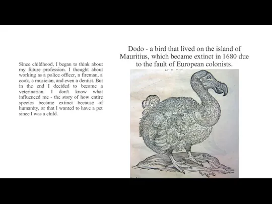 Dodo - a bird that lived on the island of