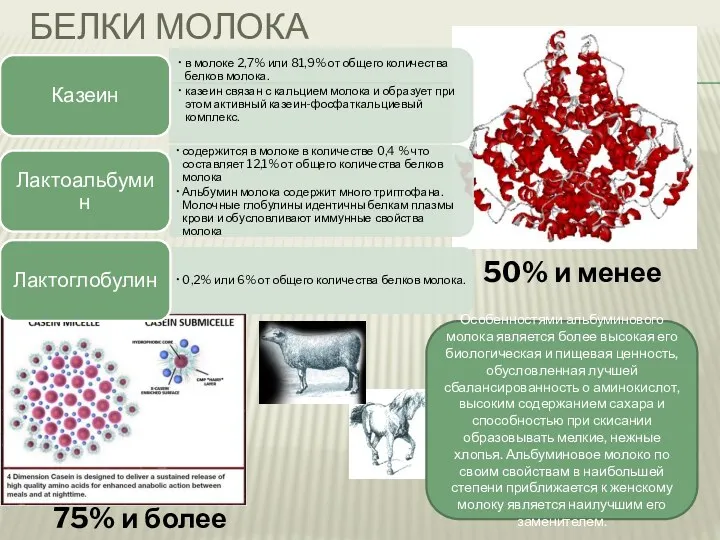 БЕЛКИ МОЛОКА 75% и более 50% и менее Особенностями альбуминового