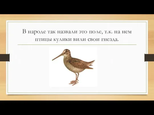 В народе так назвали это поле, т.к. на нем птицы кулики вили свои гнезда.