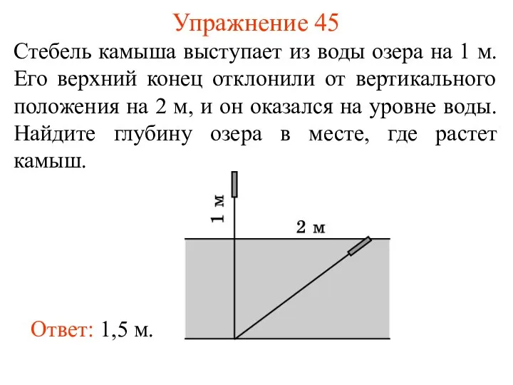 Упражнение 45 Стебель камыша выступает из воды озера на 1