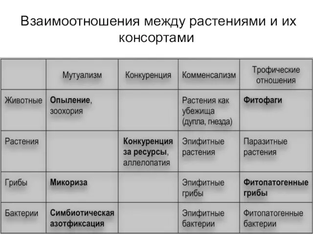 Взаимоотношения между растениями и их консортами