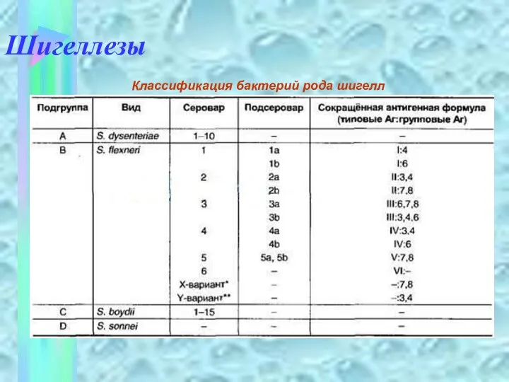 Шигеллезы Классификация бактерий рода шигелл