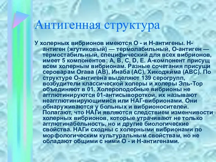 Антигенная структура У холерных вибрионов имеются О - и Н-антигены.