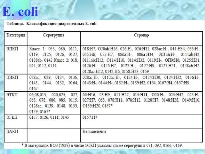 E. coli