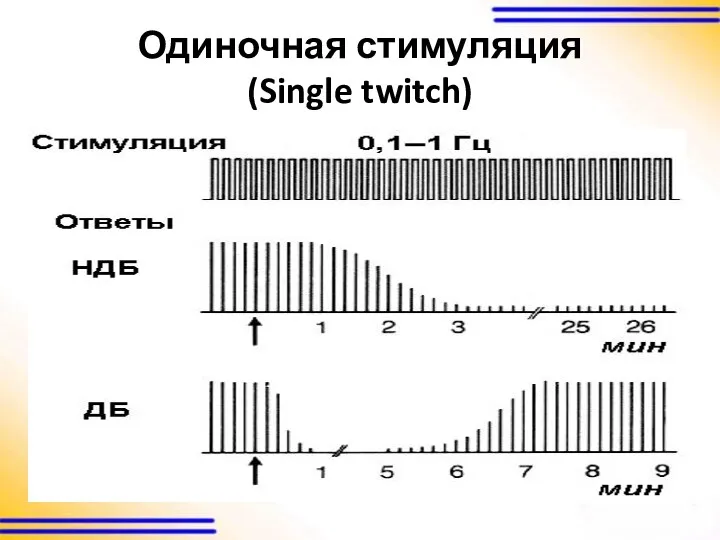 Одиночная стимуляция (Single twitch)