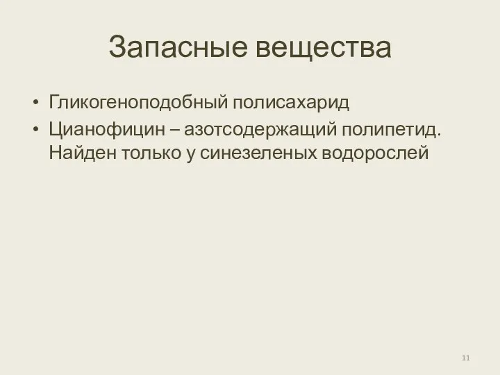 Запасные вещества Гликогеноподобный полисахарид Цианофицин – азотсодержащий полипетид. Найден только у синезеленых водорослей