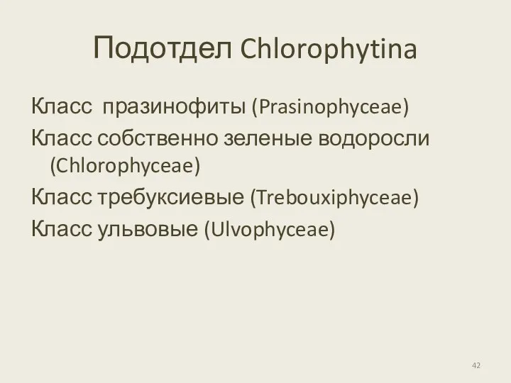 Подотдел Chlorophytina Класс празинофиты (Prasinophyceae) Класс собственно зеленые водоросли (Chlorophyceae) Класс требуксиевые (Trebouxiphyceae) Класс ульвовые (Ulvophyceae)