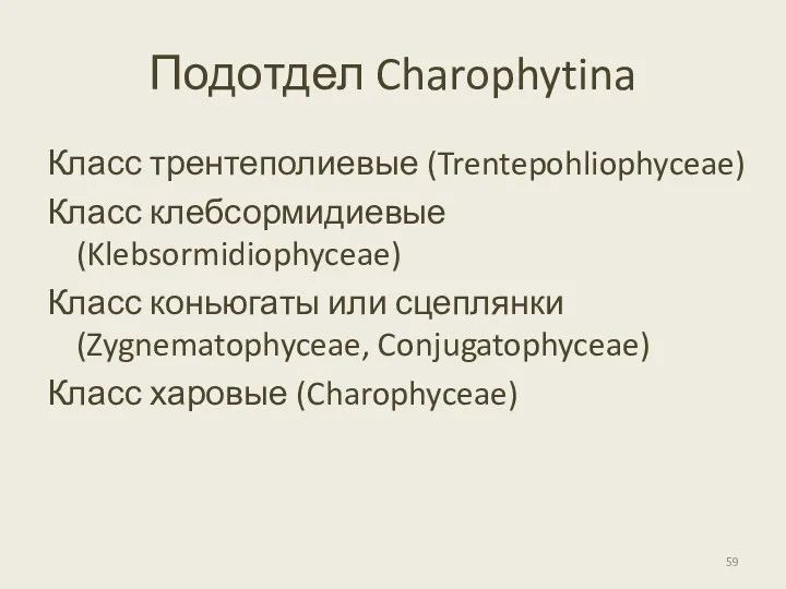 Подотдел Charophytina Класс трентеполиевые (Trentepohliophyceae) Класс клебсормидиевые (Klebsormidiophyceae) Класс коньюгаты